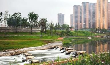 什么是城市生命线工程？该如何建设？