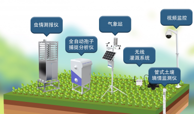 智慧农业创新方案，赋能农业现代化转型新征程